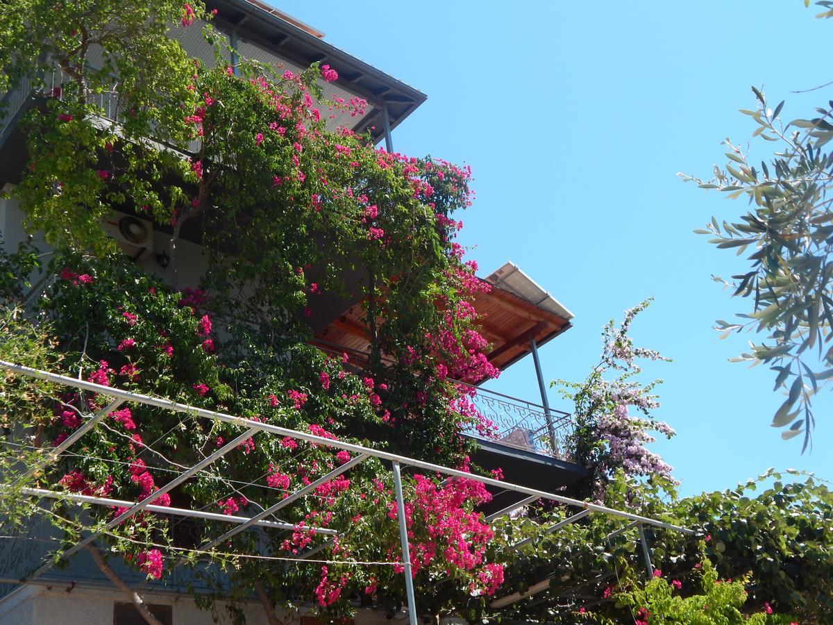 Sofia Apartments Sivota  Luaran gambar
