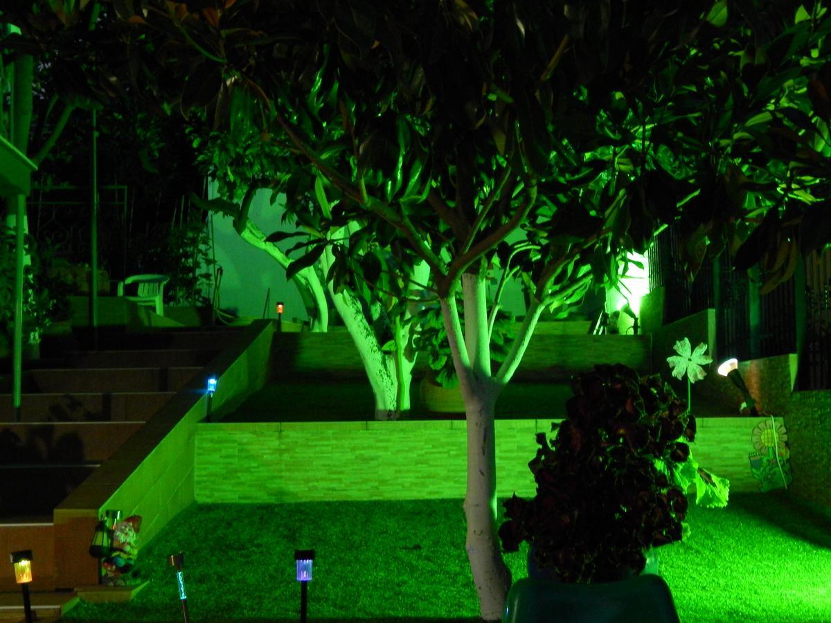 Sofia Apartments Sivota  Luaran gambar