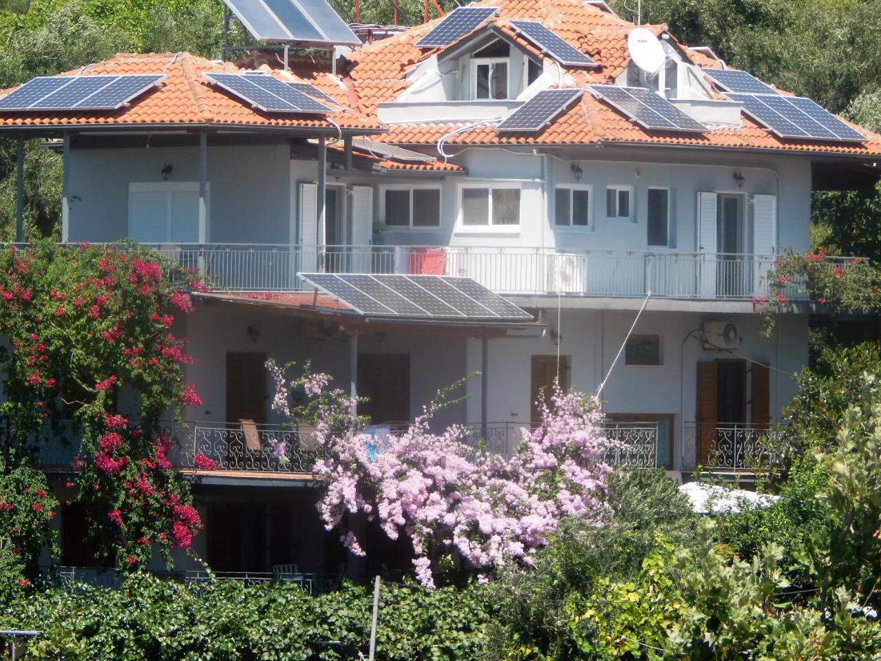 Sofia Apartments Sivota  Luaran gambar